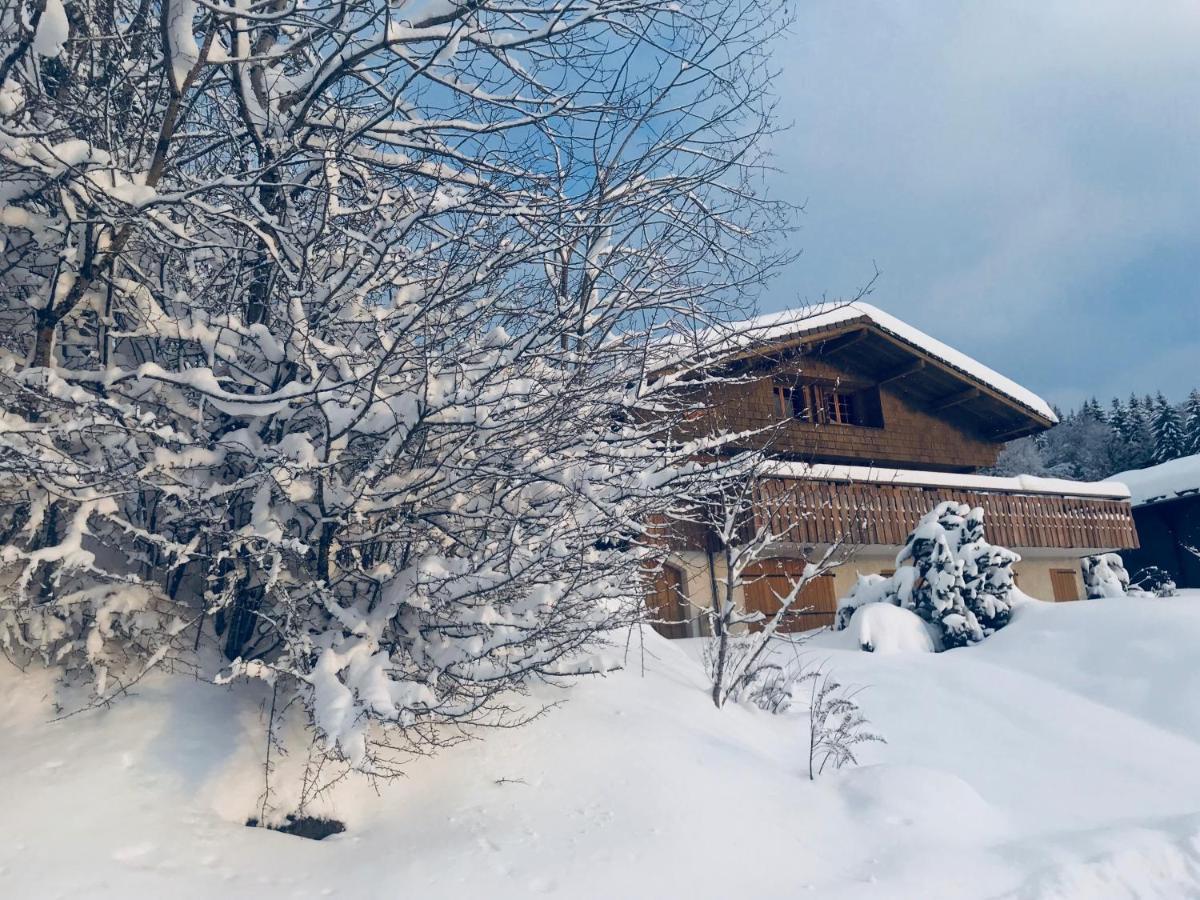 Chalet Les Marmottes 圣简德斯科特 外观 照片